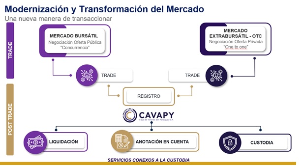 Modernización y transformación CAVAPY