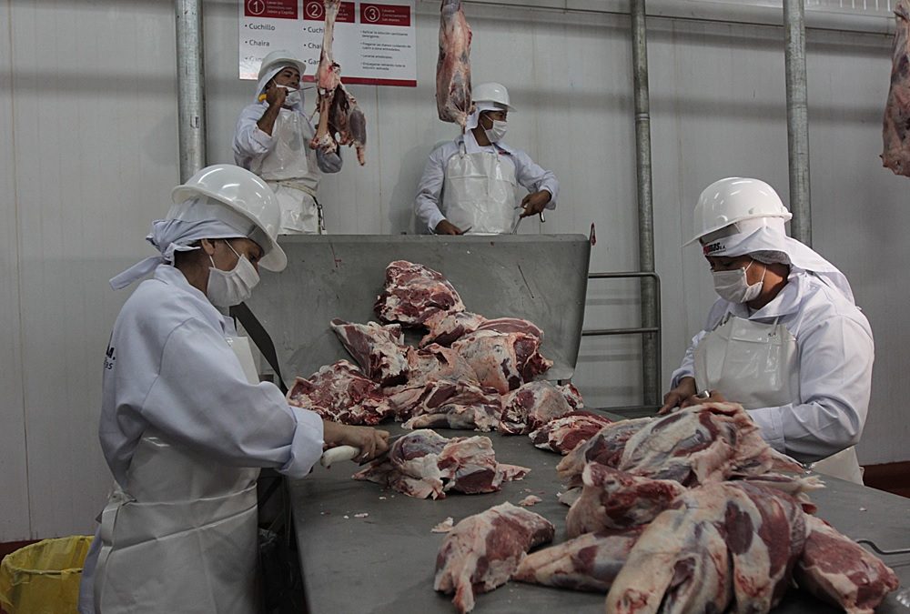 Pese a reducción mensual, la faena bovina acumulada a julio es mayor interanualmente​