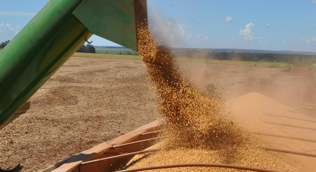 Molienda de oleaginosas