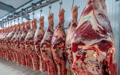 Menores toneladas de carne bovina exportadas, aunque con aumento en el valor
