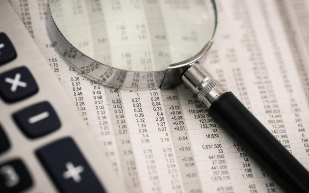 Reinversión de utilidades y capitalización elevan la inversión directa en Paraguay en 2024