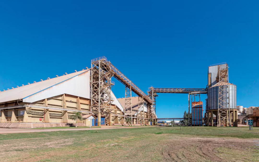 La molienda de soja sube y la utilización de capacidad instalada alcanza un récord