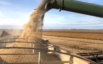 La molienda de oleaginosas alcanza 3 millones de toneladas a octubre​