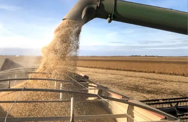 La molienda de oleaginosas alcanza 3 millones de toneladas a octubre​