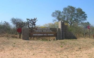 Población en el 2035: mayor crecimiento relativo en el Chaco, caída en Asunción