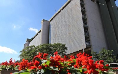 BCP revisa proyección de crecimiento a 6% para el 2025, por mayor dinamismo interno​