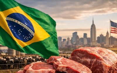 Brasil supera a EE.UU como principal productor mundial de carne vacuna en 2025