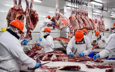 Menor volumen exportado de carne en diciembre, con precios en alza durante 2025