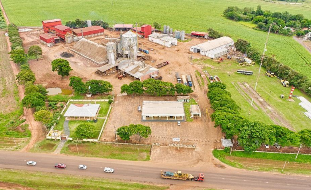 Molienda de oleaginosas marca récord en un año con precios de materias primas débiles