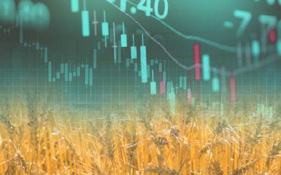 Mayor oferta global reduce riesgo inflacionario en granos en 2025/26