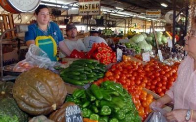 Desaceleración de precios al productor: nacionales se moderan e importados caen​