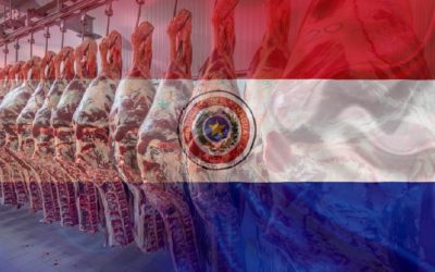 Volumen exportado de carne cae mientras precios implícitos mejoran interanualmente​