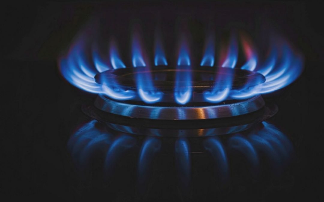 Las cuatro hornallas: elegir el fuego que sostiene.