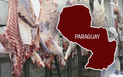 Paraguay exporta menos carne bovina a un precio por tonelada mayor