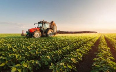 Demanda global seguiría condicionando stocks finales en mercados agrícolas