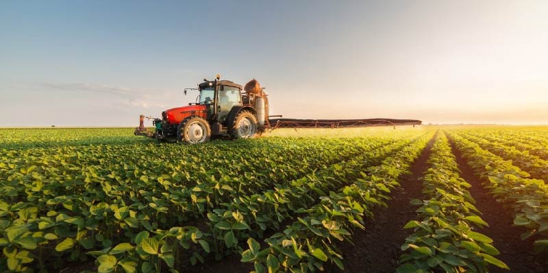 Demanda global seguiría condicionando stocks finales en mercados agrícolas