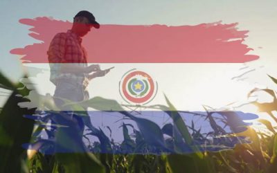 Precios al productor acumulan tres meses de caída interanual