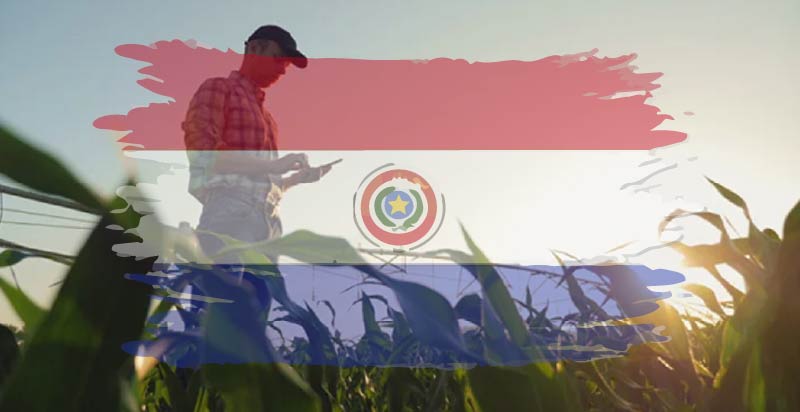 Productor Paraguayos