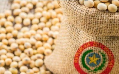 Superávit comercial se mantiene, explicado por los mayores envíos de soja y derivados
