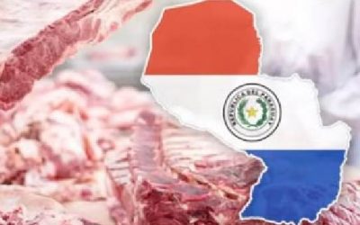 Las exportaciones acumuladas de carne bovina cayeron en forma interanual​