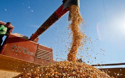 Moody’s ratifica calificación soberana de Paraguay y señala desafíos para mejora