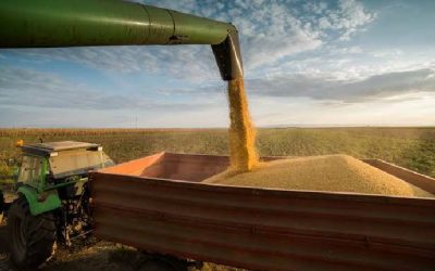 Mayores exportaciones de soja impulsan el superávit comercial