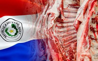 Las exportaciones de carne bovina continúan contrayéndose