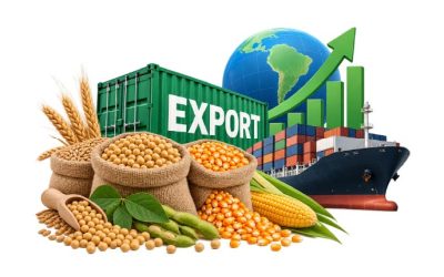 Exportaciones de granos continúan impulsando el superávit comercial​